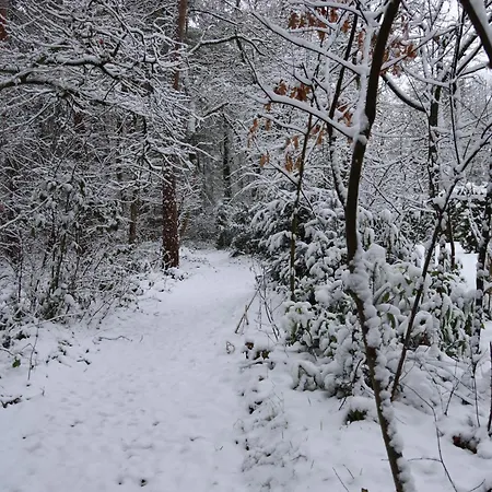 't Grieze Huysje Сasa de vacaciones