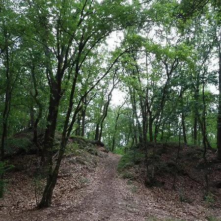't Grieze Huysje 오털로
