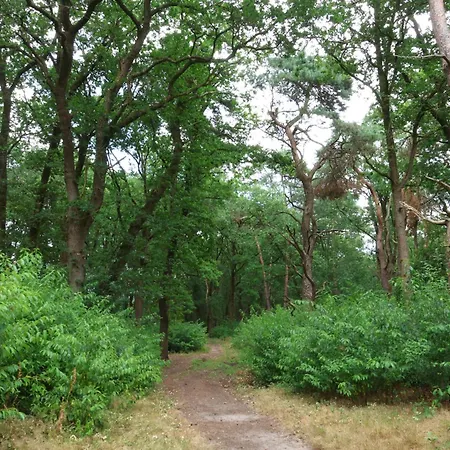 펜션 't Grieze Huysje