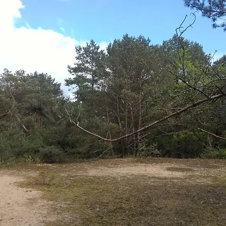 't Grieze Huysje