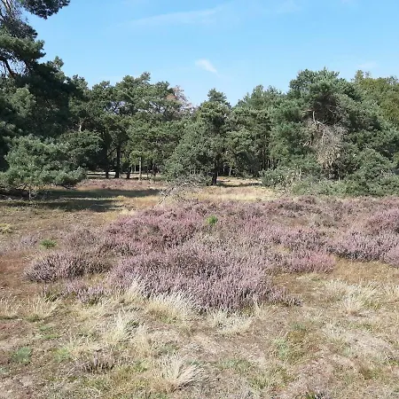 't Grieze Huysje 펜션 오털로