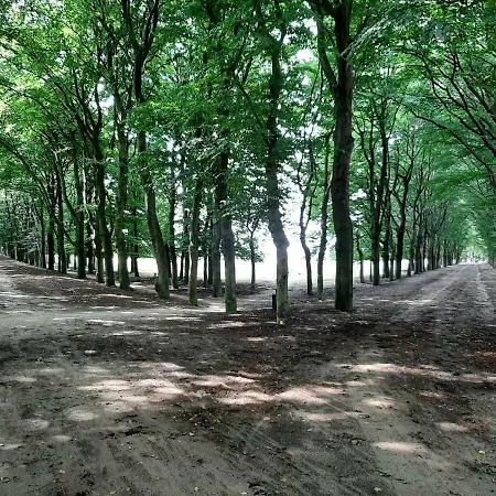 't Grieze Huysje Оттерло