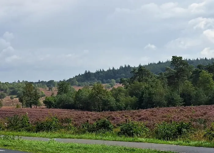 't Grieze Huysje Сasa de vacaciones *