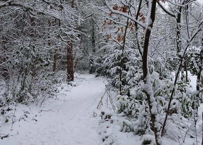 't Grieze Huysje Semesterbostad
