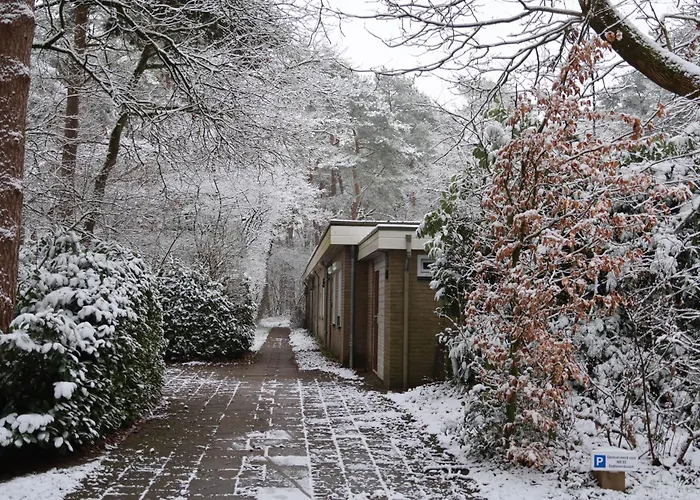 Semesterbostad 't Grieze Huysje