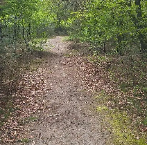 Semesterbostad 't Grieze Huysje Otterlo