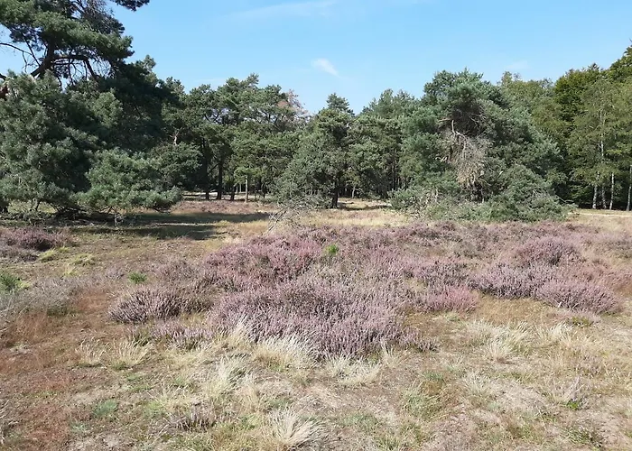 't Grieze Huysje Сasa de vacaciones Otterlo