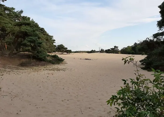 't Grieze Huysje Сasa de vacaciones *