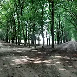 't Grieze Huysje Otterlo