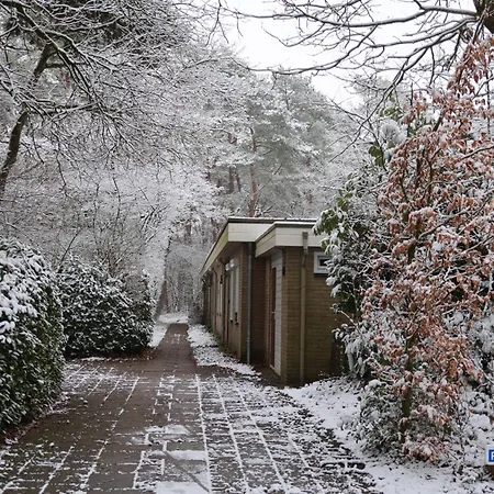 בית נופש 't Grieze Huysje